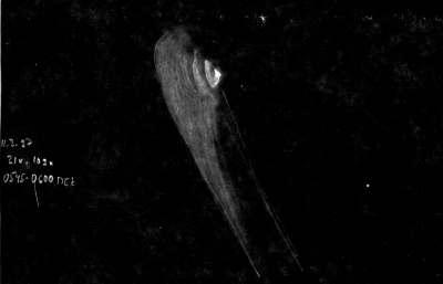 Zeichnung der Koma Hale-Bopp, 11.03.1997, 0545 -0600h MEZ, N175/1230mm, 31x, 106x